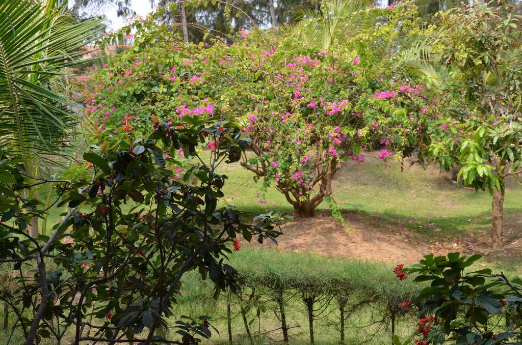Mui Ne Village Resort Ap Long Son Luaran gambar